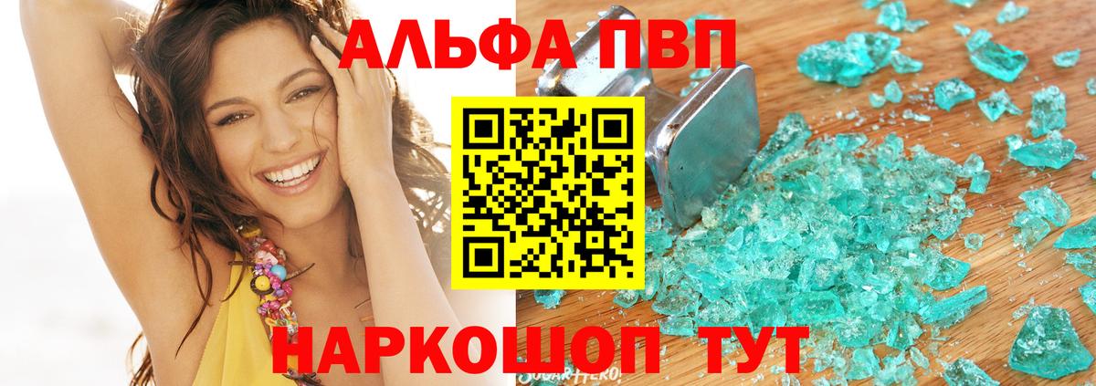 A PVP СК Гатчина